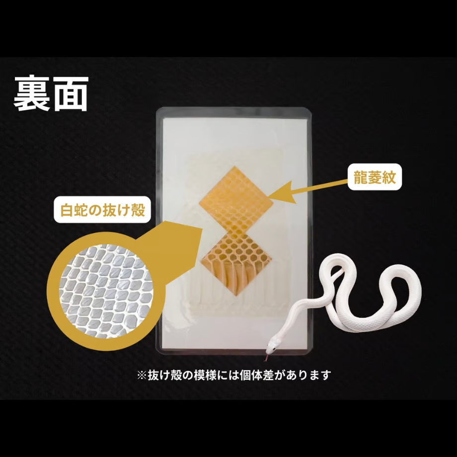 6597db147e6f351ae44e0e78
