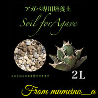 アガベ専用培養土 2リットル