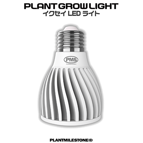 PLANTS GLOW LIGHT ビカク・観葉植物用 | A.GAVE