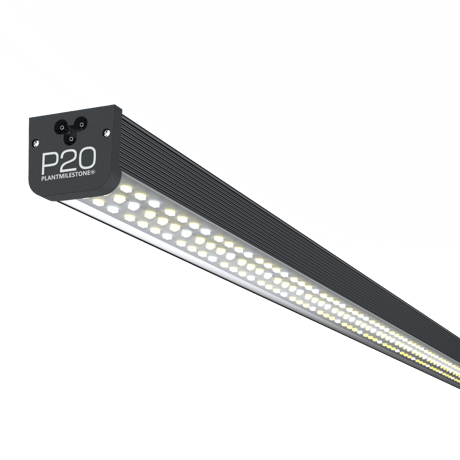 連結可能！ P20 バーライト　※本体のみ
