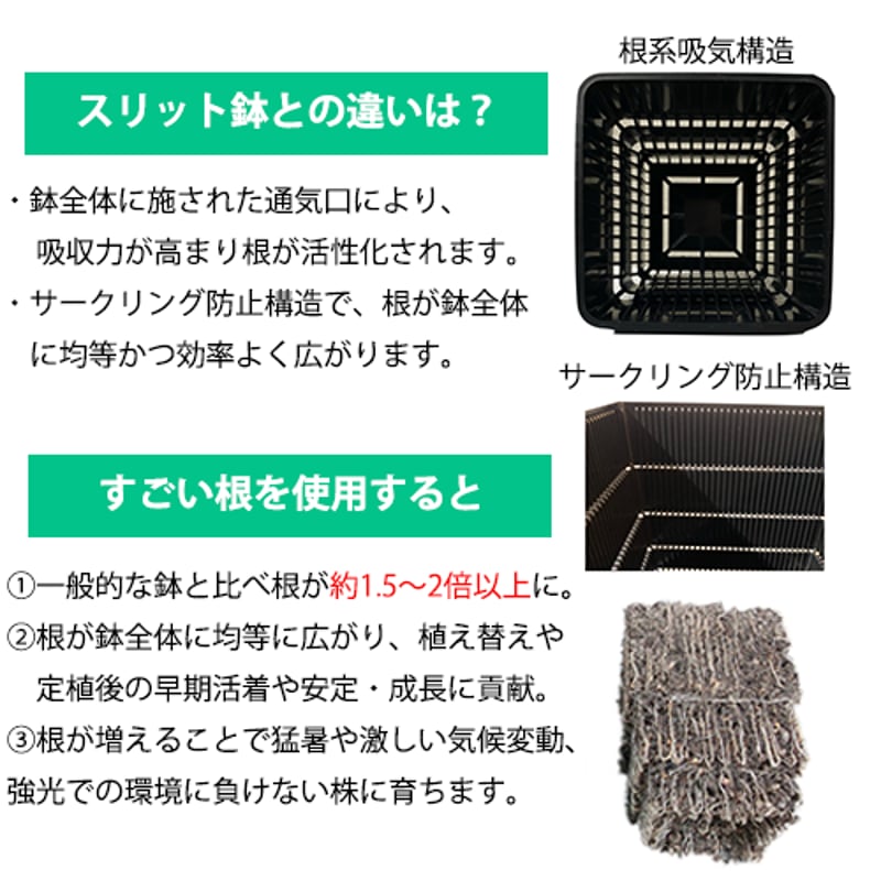 根が爆増するプラ鉢 『すごい根』 スクエアショート | A.GAVE