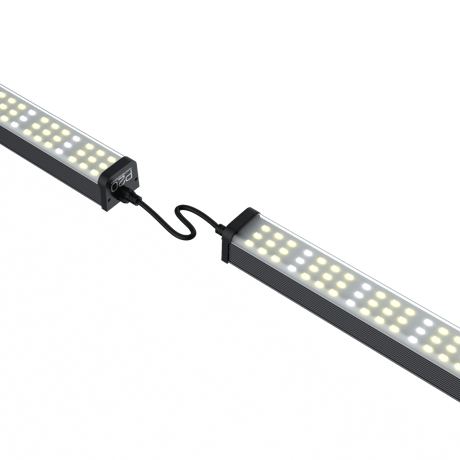 連結可能！ P20 バーライト　※本体のみ