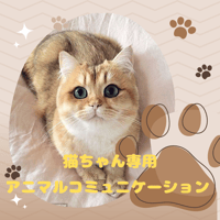 猫ちゃん専用♡アニマルコミュニケーション[メール対応］愛する猫ちゃんの気持ちをお伝えします