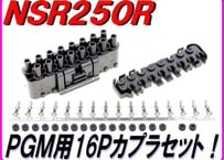 PGM用16Ｐ 黒オスカプラ NSR250R MC18 MC21 MC28