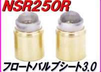 ビッグフロートバルブシート3.0 ［ストレーナー仕様］ NSR250R MC28