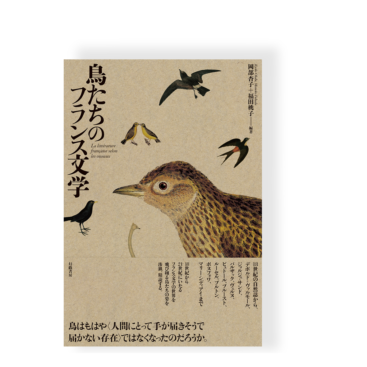 能登寄付 私のおとぎ話 伝統的な九つの物語] 豪華絵本