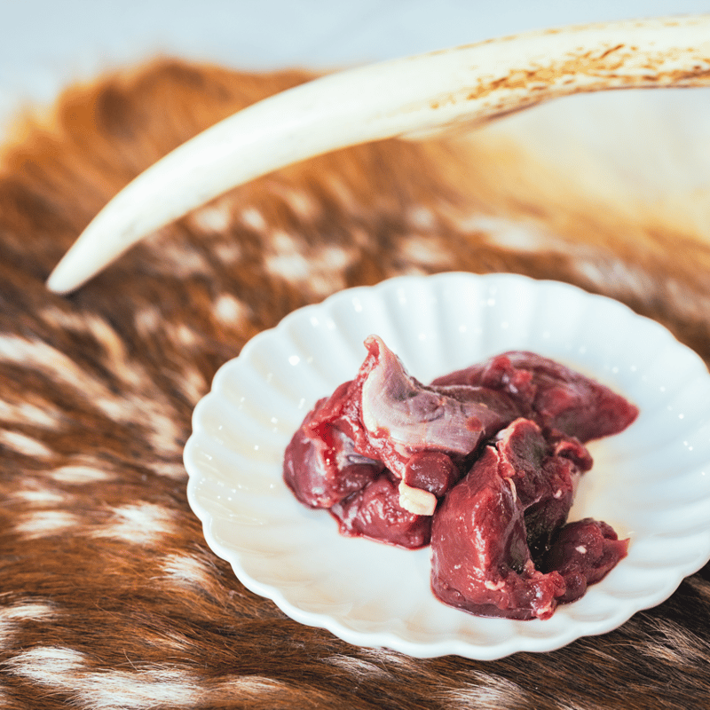 500g】岐阜県産｜獲れたて天然鹿肉赤身肉冷凍500g | INUVEGE イヌベジ