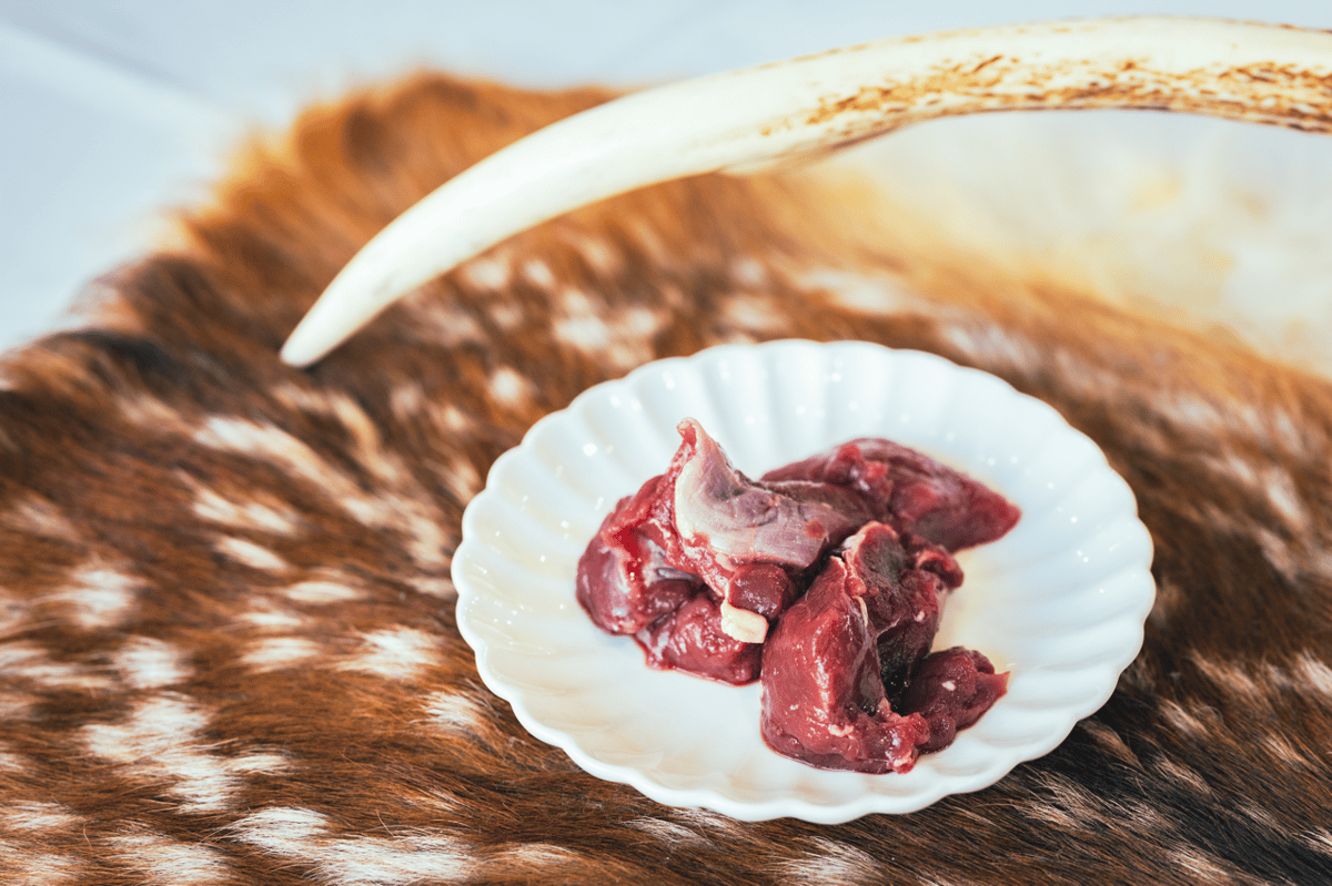 500g】岐阜県産｜獲れたて天然鹿肉赤身肉冷凍500g | INUVEGE イヌベジ