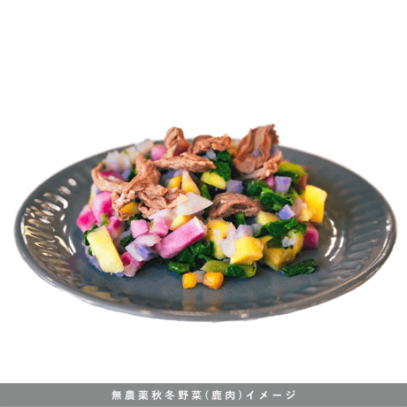 【単品10パック】無添加 | 天然鹿肉と季節野菜のごはん
