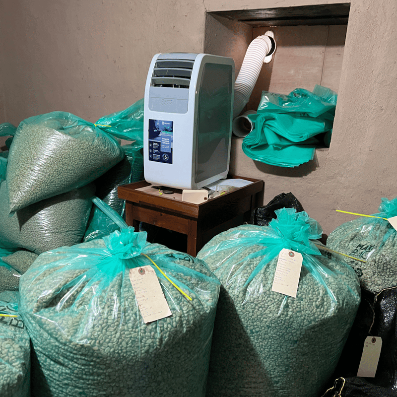 NEW】エクアドル エリザ農園 ゲイシャ アナエロビックウォッシュド