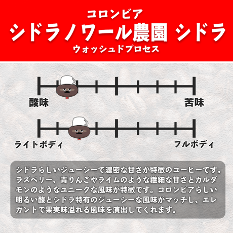 【浅煎り】コロンビア シドラノワール農園 シドラ種 ウォッシュド (100g)