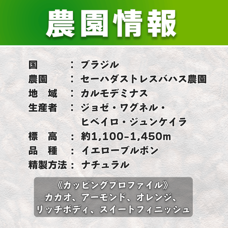 【中煎り】ブラジル セーハダストレスバハス農園 ナチュラル (150g)