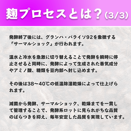 【浅煎り】コロンビア グランハ パライソ92 ストライプドブルボン種 P-19 KOJI PROCESS (50g)