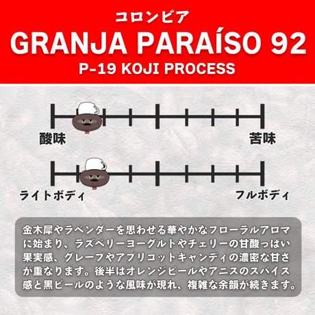 【浅煎り】コロンビア グランハ パライソ92 ストライプドブルボン種 P-19 KOJI PROCESS (50g)