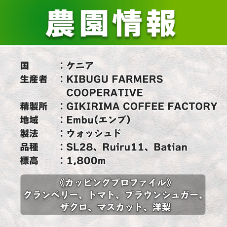 【浅煎り】ケニア GIKIRIMA FACTORY ウォッシュド (150g)