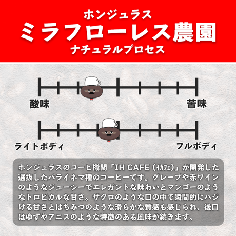 【浅煎り】ホンジュラス ミラフローレス農園 パライネマ種 ナチュラル (100g)