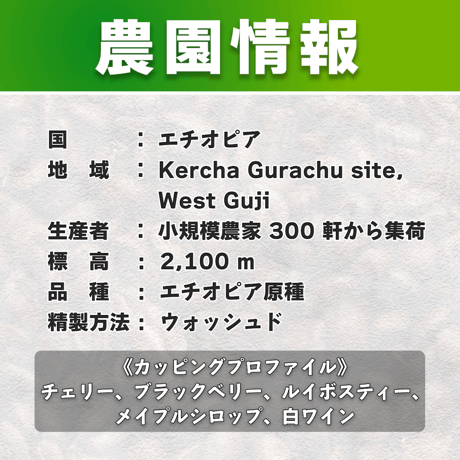 【浅煎り】GUJI GRACHU G/1 WASHED (150g)