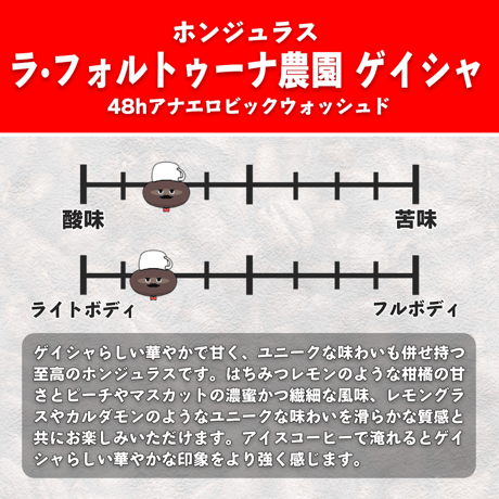 【浅煎り】ホンジュラス ラ・フォルトゥーナ農園 ゲイシャ種 48hアナエロビックウォッシュド (50g)