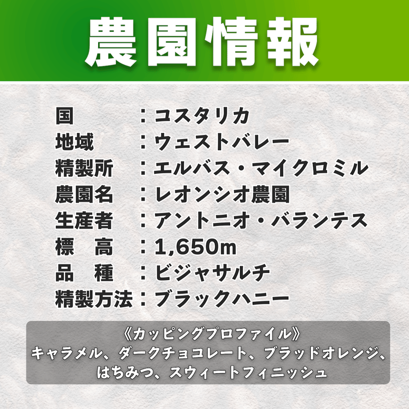 ブルーマウンテン様　コスタリカエルバス エル・レオンシオ ブラックハニー 5kg 中深煎り】コスタリカ エルバス ブラックハニー (100g) | JUKUCY