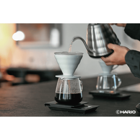 HARIO V60 BARISTA SERVER 600