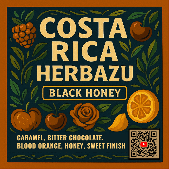 ブルーマウンテン様　コスタリカエルバス エル・レオンシオ ブラックハニー 5kg 中深煎り】コスタリカ エルバス ブラックハニー (100g) | JUKUCY