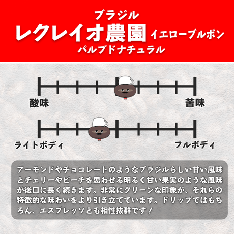 【中煎り】ブラジル レクレイオ農園 イエローブルボン種 パルプドナチュラル (150g)
