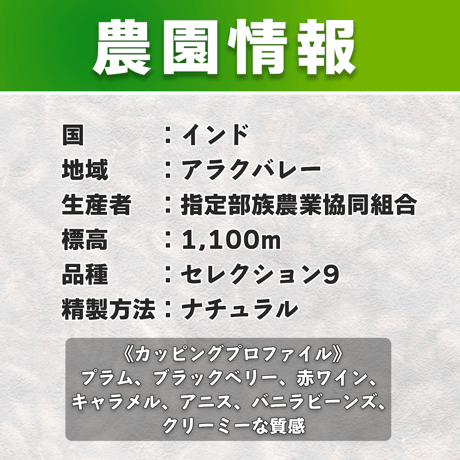 【中煎り】インド アラクバレー ナチュラル (150g)