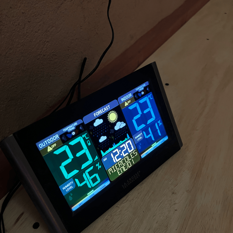 エクアドル エリザ農園 ゲイシャ アナエロビックウォッシュド (60g