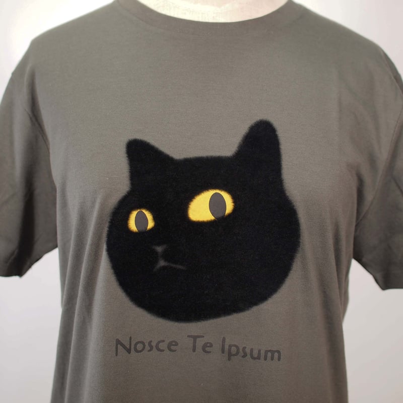 ネコにらみ 【チャコール】半袖Tシャツ | ビーアンキシャス