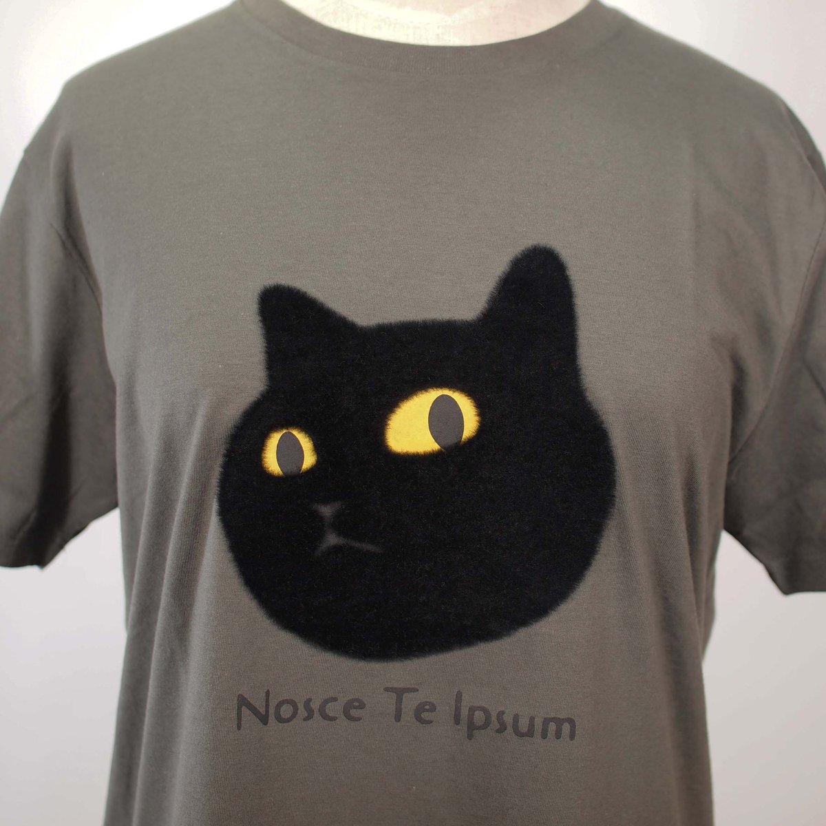 ネコにらみ 【チャコール】半袖Tシャツ | ビーアンキシャス
