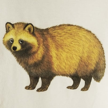タヌキ【グレージュ】半袖ワイドBOXシルエットTシャツ
