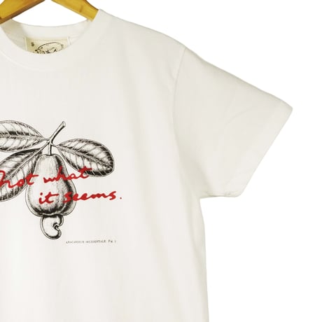 カシューアップル【ヴィンテージホワイト】半袖Tシャツ(製品染め)