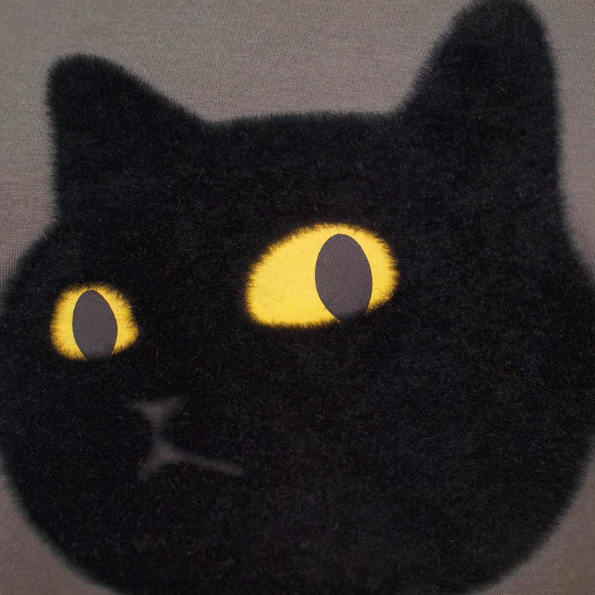 ネコにらみ 【チャコール】半袖Tシャツ | ビーアンキシャス