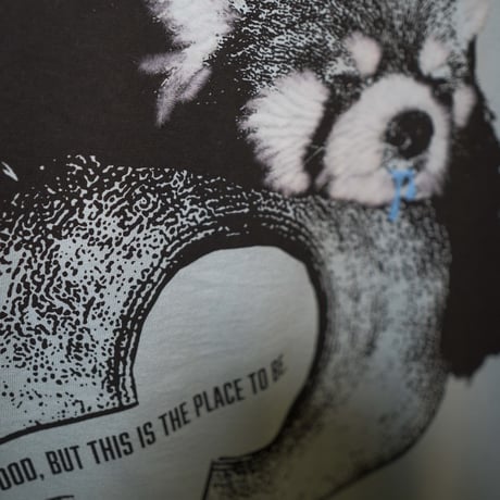 レッサーパンダ【フロストスカイ】半袖Tシャツ