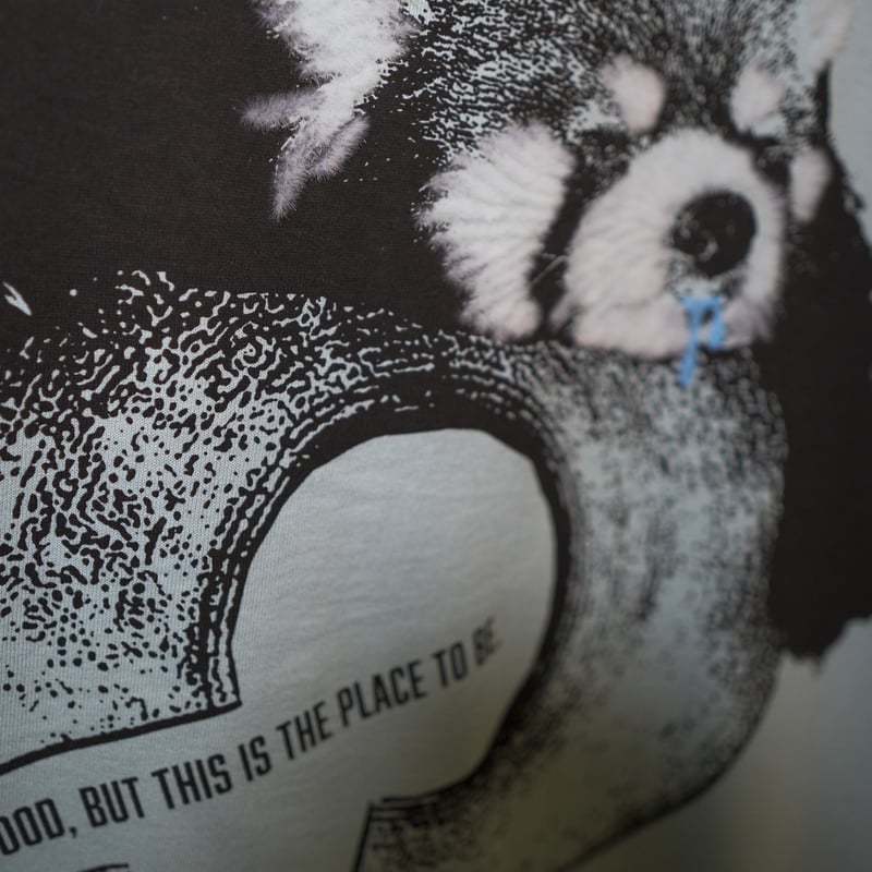 レッサーパンダ【フロストスカイ】半袖Tシャツ | ビーアンキシャス