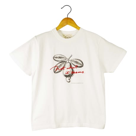 カシューアップル【ヴィンテージホワイト】半袖Tシャツ(製品染め)