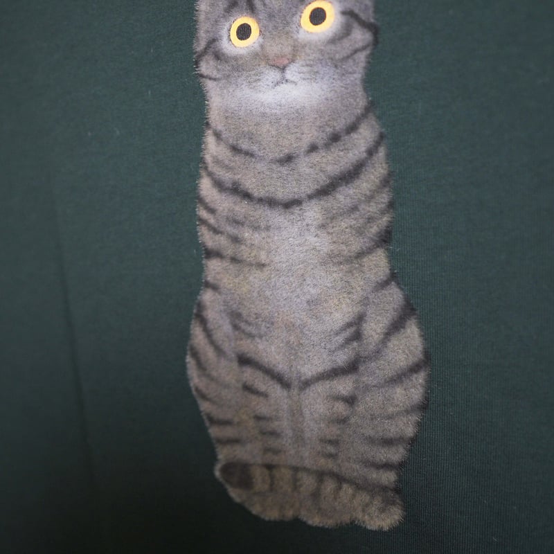 キジトラ（全身） 【Dグリーン】BIG半袖Tシャツ | ビーアンキシャス