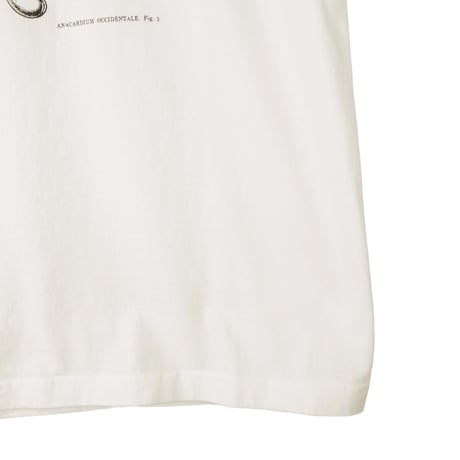 カシューアップル【ヴィンテージホワイト】半袖Tシャツ(製品染め)