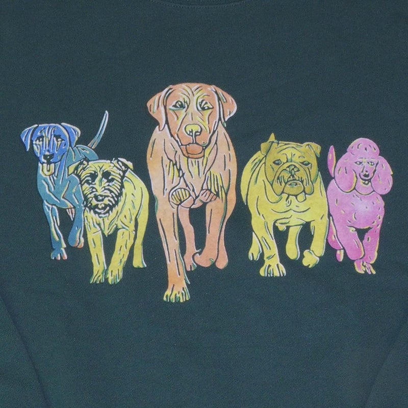 カラフル 【アイビーグリーン】トレーナー | ビーアンキシャス