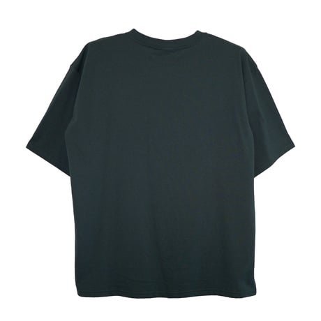 キジトラ（全身） 【Dグリーン】BIG半袖Tシャツ