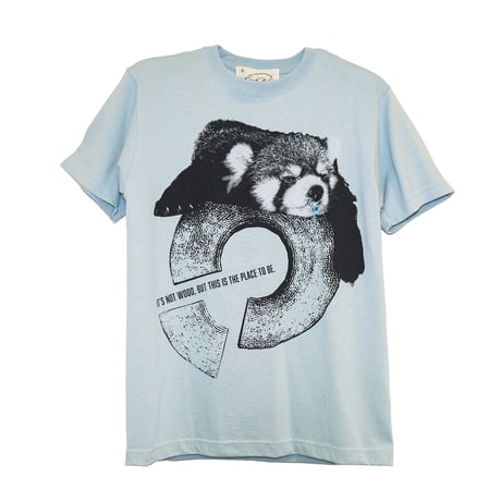 レッサーパンダ【フロストスカイ】半袖Tシャツ
