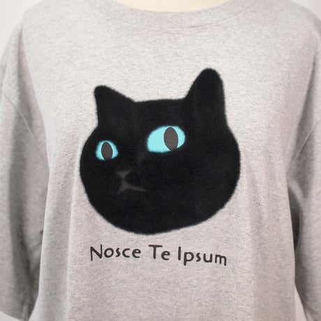 ネコにらみ 【ヘザーグレー】BIG半袖Tシャツ
