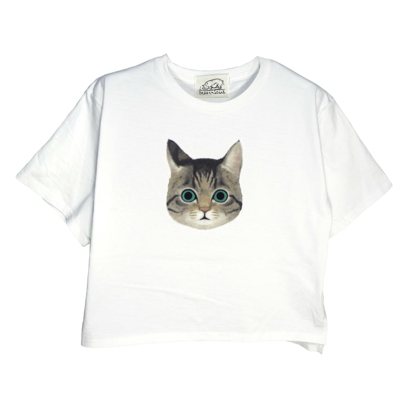 キジトラ（顔） 【ホワイト】BIG半袖Tシャツ | ビーアンキシャス
