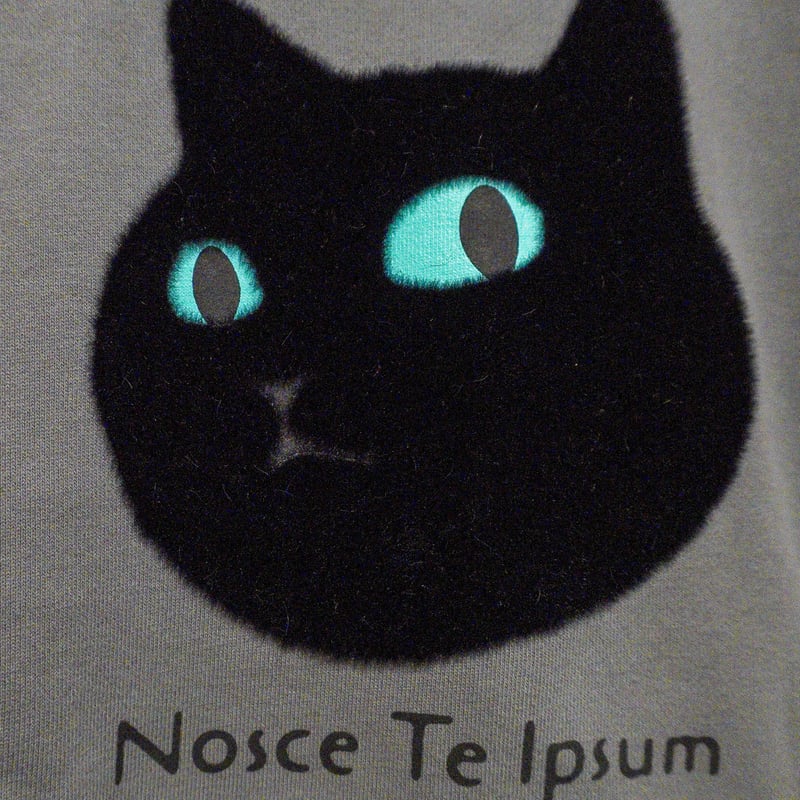 ネコにらみ 【ストーングレー】トレーナー | ビーアンキシャス