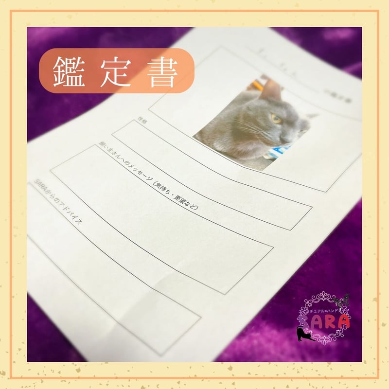 ペット霊視鑑定✳︎鑑定書 ペット霊視鑑定✳︎鑑定書