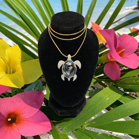 Sea Stella-Honu