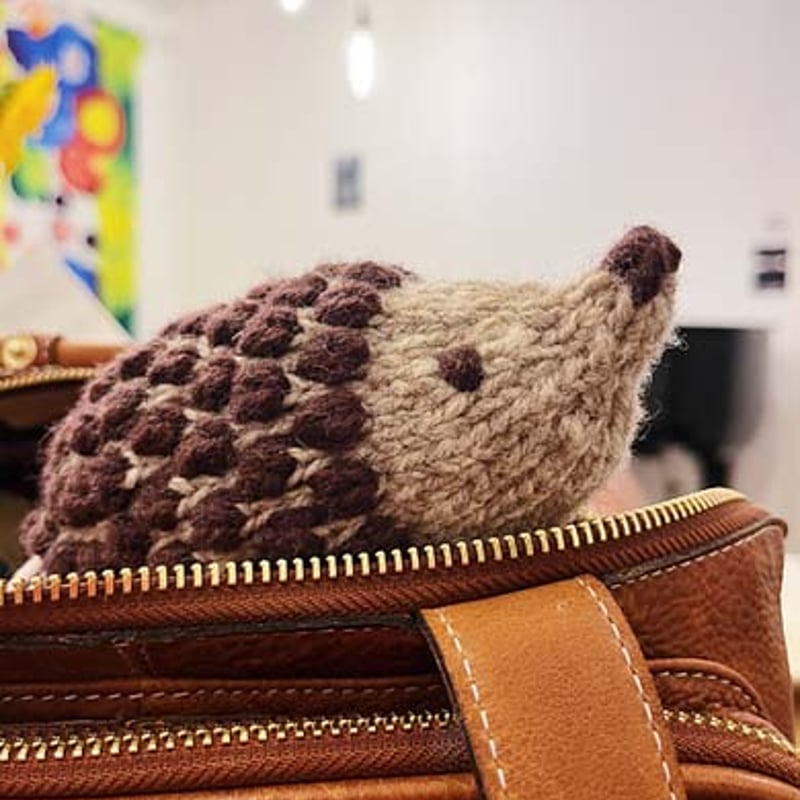 PDFパターン】Scrap Yarn Hedgehog 余り糸で編むポップコーン模様の