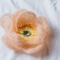 【PDFパターン】イタリアンポピー（棒針で編む花の図鑑より） by Midori Hirose
