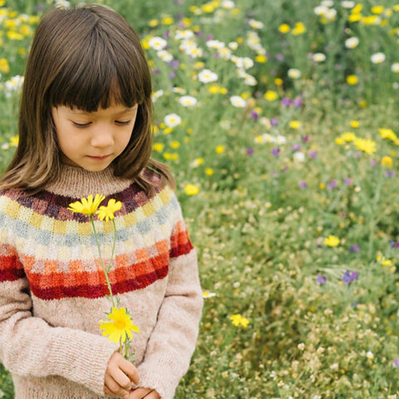 PDFパターン】Paul Klee Sweater by Midori Hirose | K