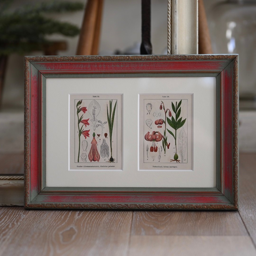 絵画】ボタニカルアート 「かのこゆり」原画 【公式通販】